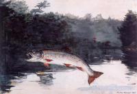 Homer, Winslow - Leaping Trout